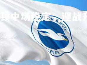 杏彩体育入口-埃弗顿中场稳定，迎战升班马西汉姆联，埃弗顿和西汉姆联