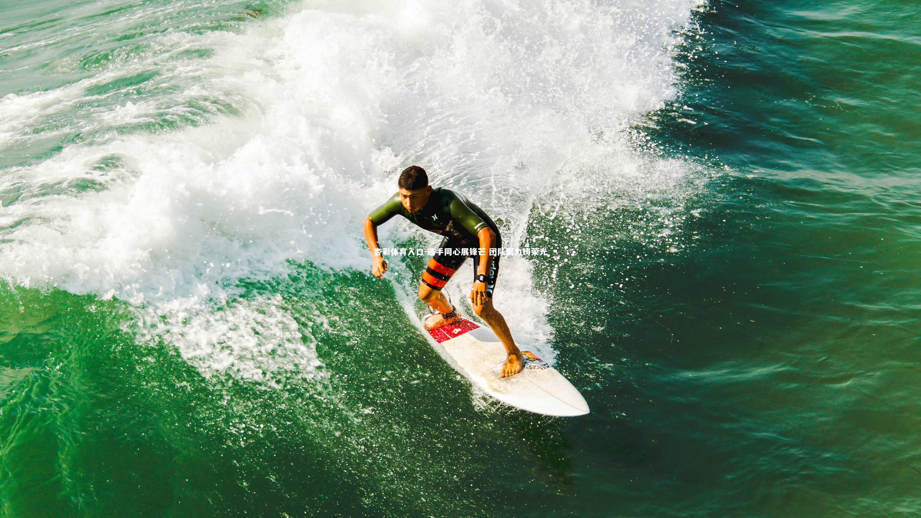 杏彩体育入口-选手同心展锋芒 团队聚力铸荣光