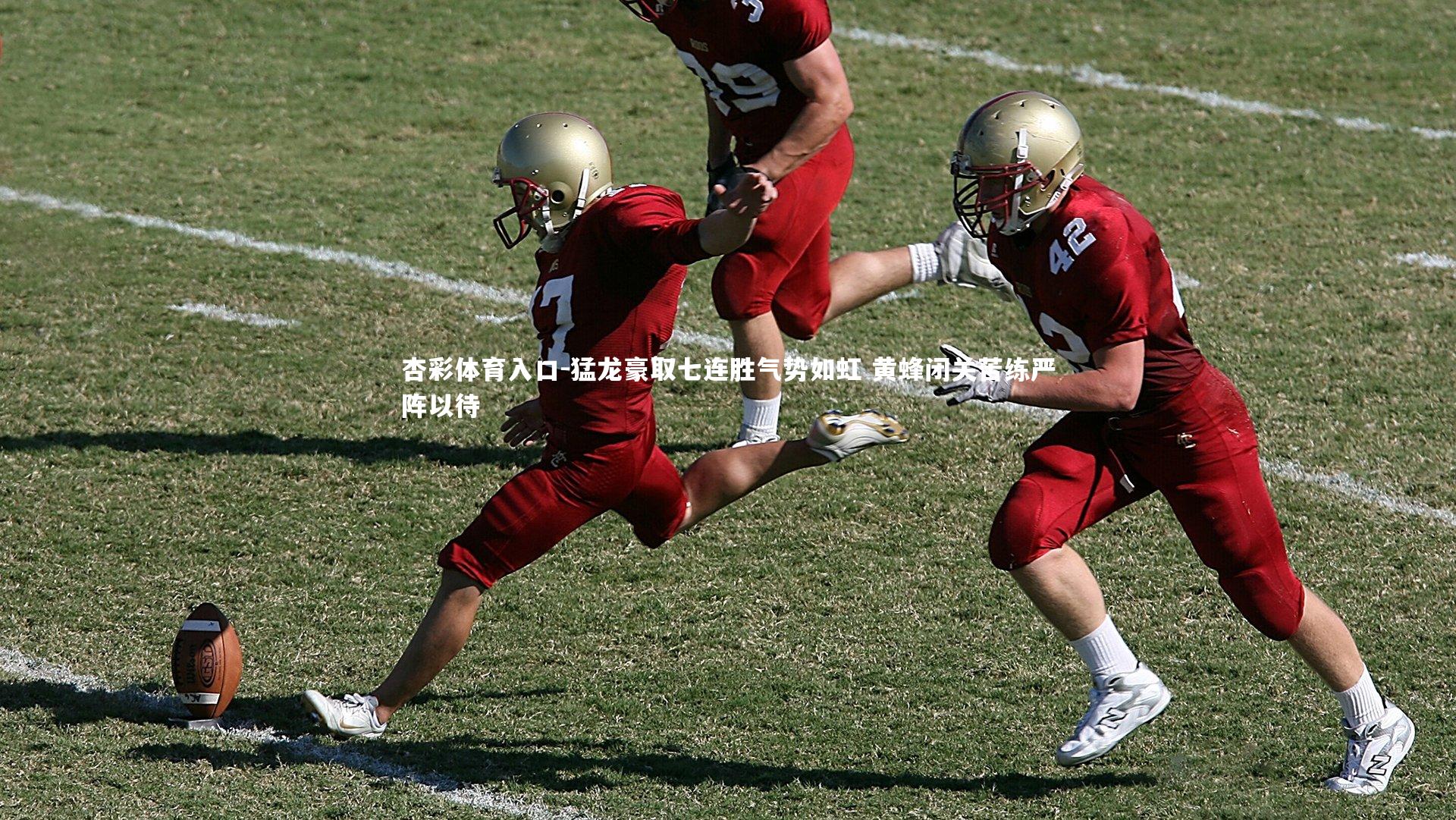 猛龙豪取七连胜气势如虹 黄蜂闭关苦练严阵以待