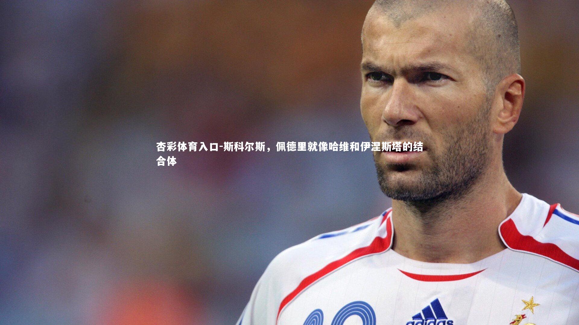 斯科尔斯,佩德里就像哈维和伊涅斯塔的结合体